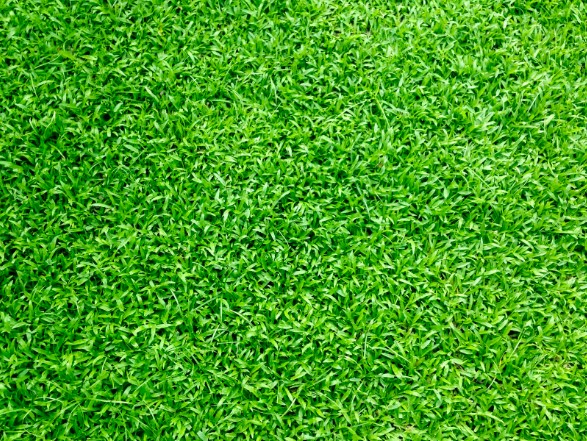 Artificial Turf for Playgrounds