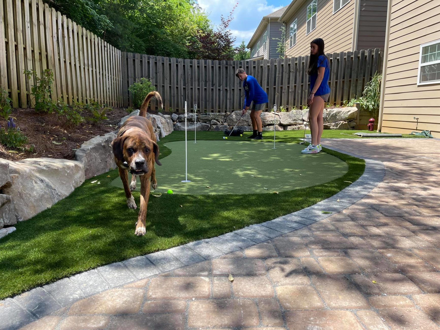 Artificial Putting Green Turf Gallery