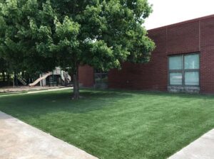 Artificial Turf for Landscapes